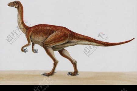 白垩纪恐龙0033
