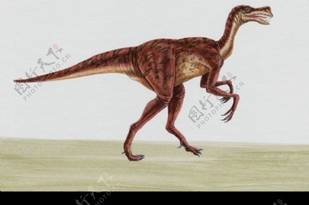 白垩纪恐龙0045