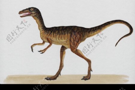 白垩纪恐龙0066