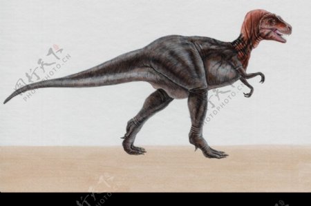 白垩纪恐龙0093