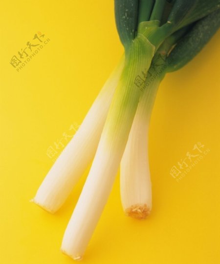 蔬菜类0065