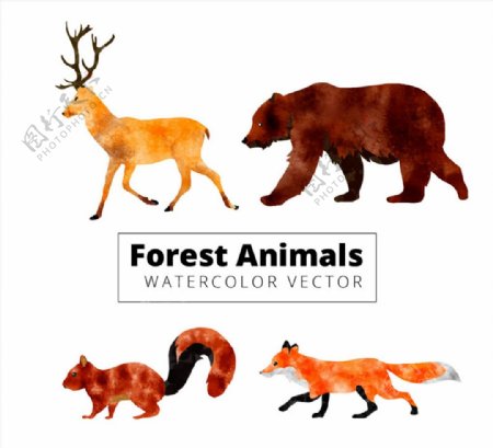 水彩绘动感森林动物