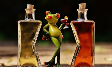 青蛙品酒