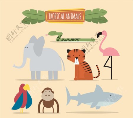 7款卡通热带动物矢量素材
