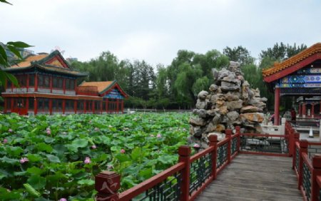 龙潭湖风景