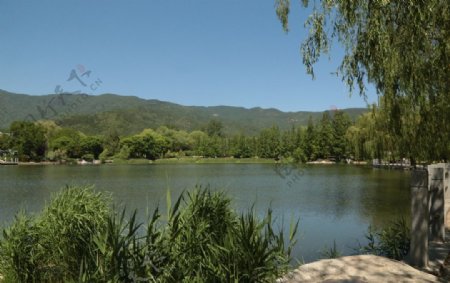 植物园风景