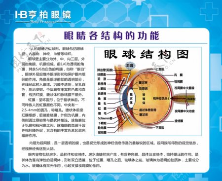 亨柏眼镜灯片