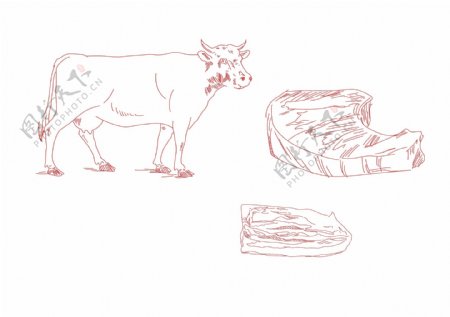 手绘食物牛肉