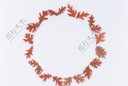 树叶圆环造型