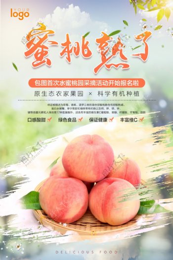 简约小清新水蜜桃采摘季宣传海报