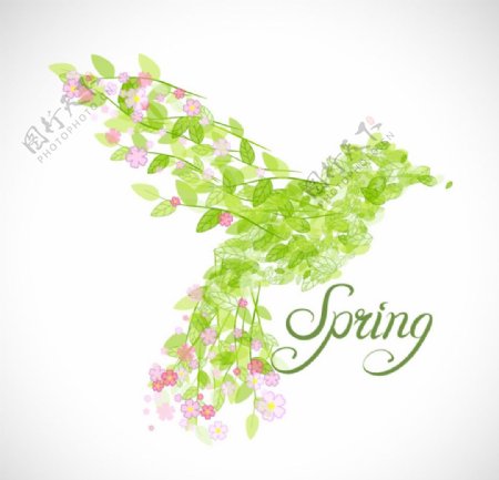 春季花朵和树叶组合的蜂鸟