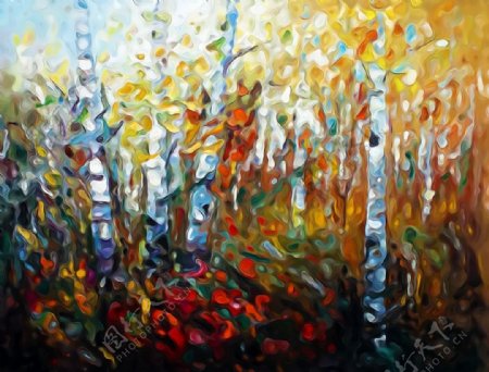 桦树林风景油画