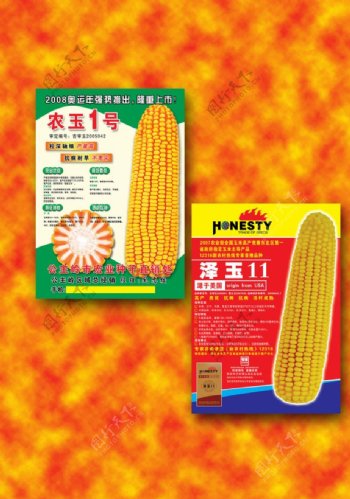 玉米种子传单