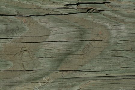 木材老木纹质感纹理树