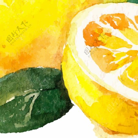 手绘矢量水果柠檬水彩插画绘画