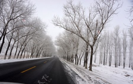 冬天树挂公路