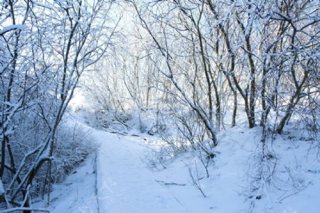 冬日山路雪景