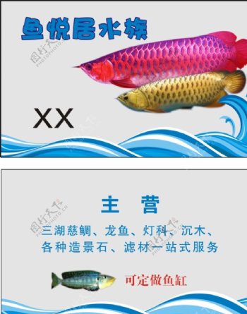 广告设计鱼名片