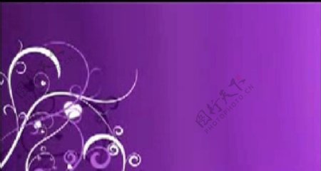 动态紫色高清花藤背景视频模板