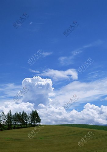 蓝天白云开阔草原
