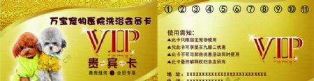 宠物医院VIP金属卡