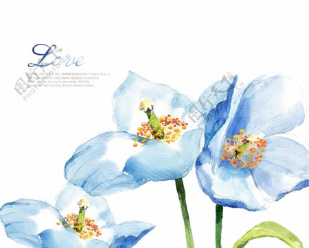 蓝色唯美花朵背景