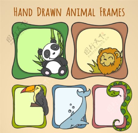 手绘动物相框