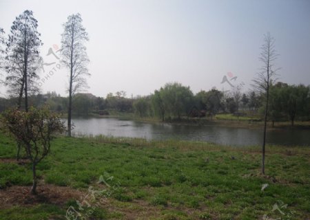 太湖湿地公园