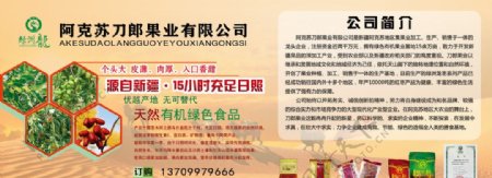 新疆红枣果业宣传页