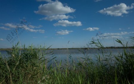 青铜峡鸟岛湿地公园