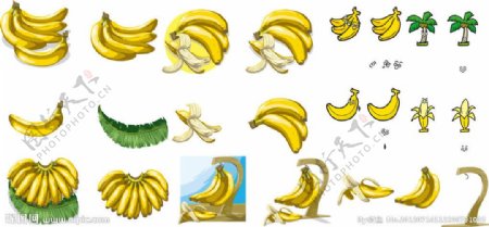 香蕉合集