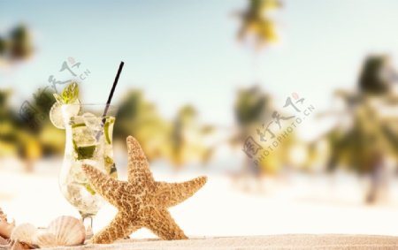 沙滩海星饮料