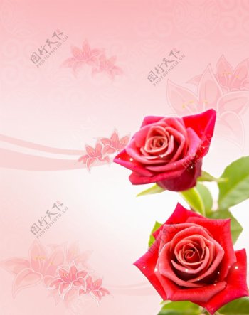 鲜红玫瑰花玻璃门图案