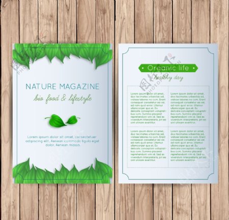 自然绿叶杂志
