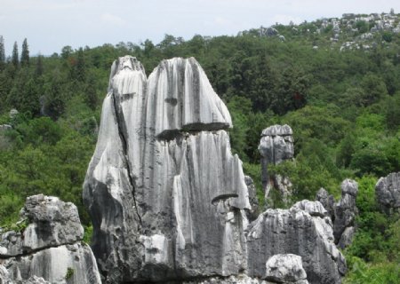 石林风景