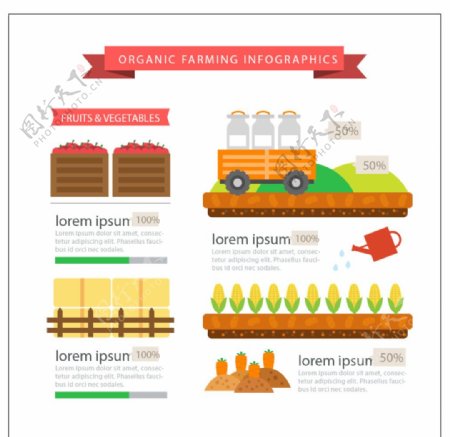 生态蔬菜信息图表