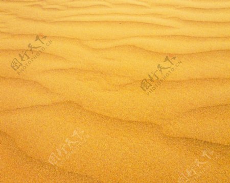 沙漠纹理图
