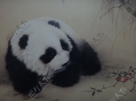工笔国画熊猫