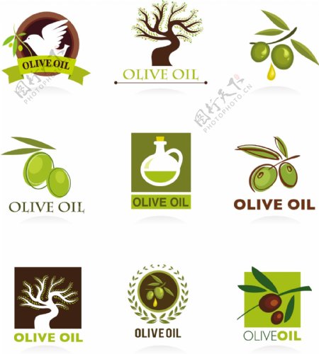 橄榄油标签logo