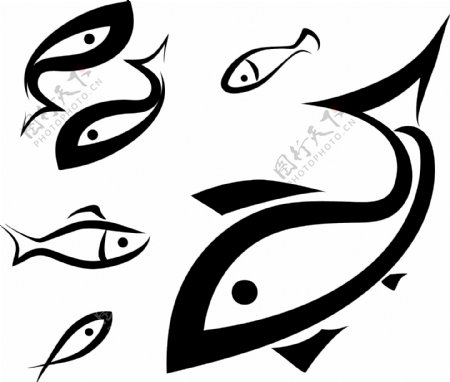 鱼logo图标
