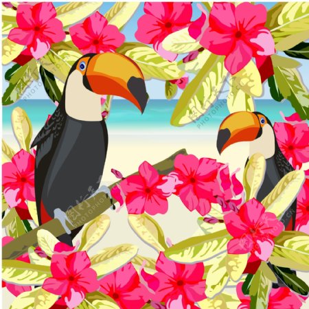 卡通夏季热带红花巨嘴鸟插图