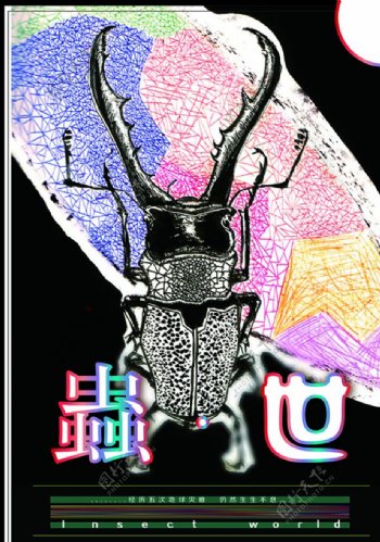 昆虫海报
