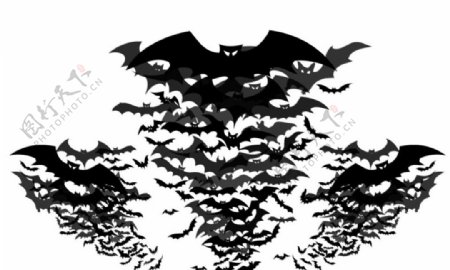 蝙蝠群剪影矢量素材