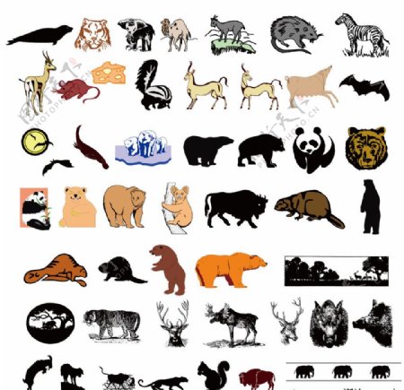 熊猫狗熊麋鹿森林动物