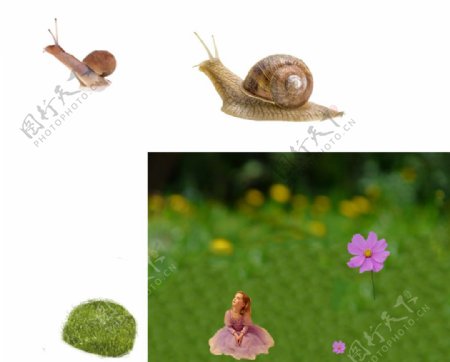 蜗牛分层图草地小女孩花朵