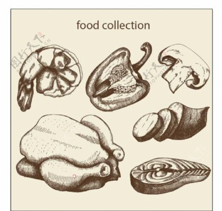 手绘食品系列