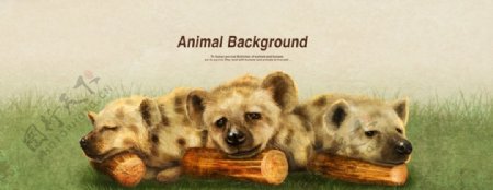 小熊宣传设计海报