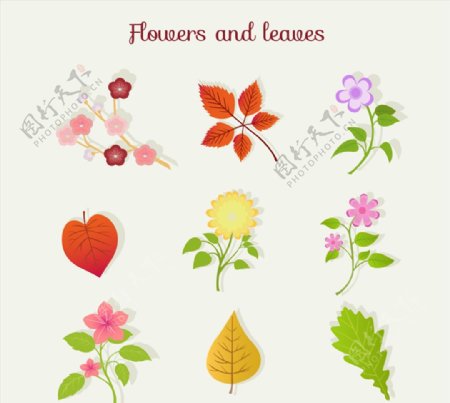 9款彩色花朵和叶子矢量素材