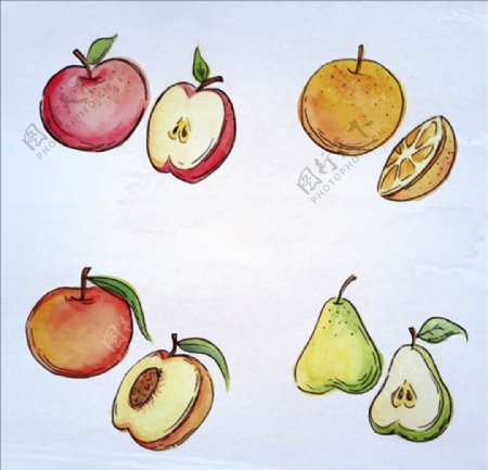 手绘水彩美味的水果