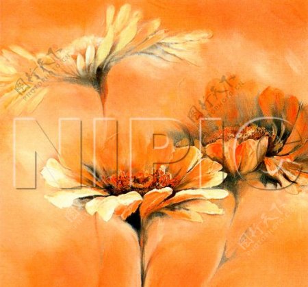 花卉油画5513050厘米X50厘米